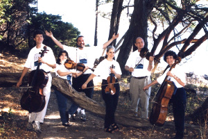 madronagroup